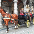 Sightseeing Brussels in a horse and carriage